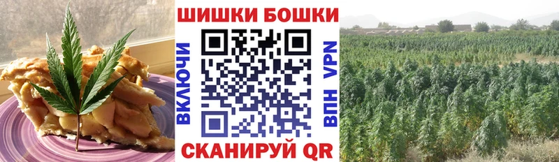 купить наркотик  Чебаркуль  Cannafood конопля 