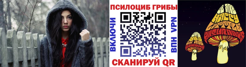 Псилоцибиновые грибы Psilocybine cubensis  Чебаркуль 