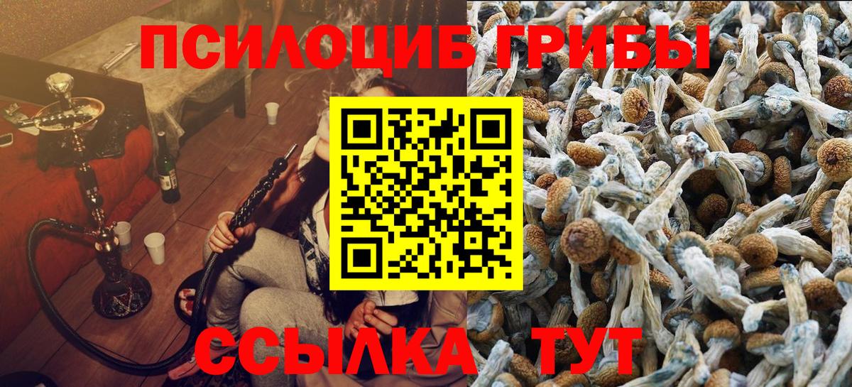 Псилоцибиновые грибы Psilocybe  Псилоцибиновые грибы Psilocybe  Чебаркуль  магазин продажи   Вход с VPN 
