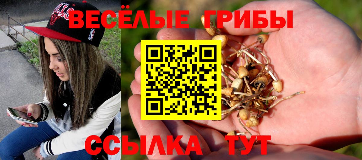 Псилоцибиновые грибы ЛСД Чебаркуль
